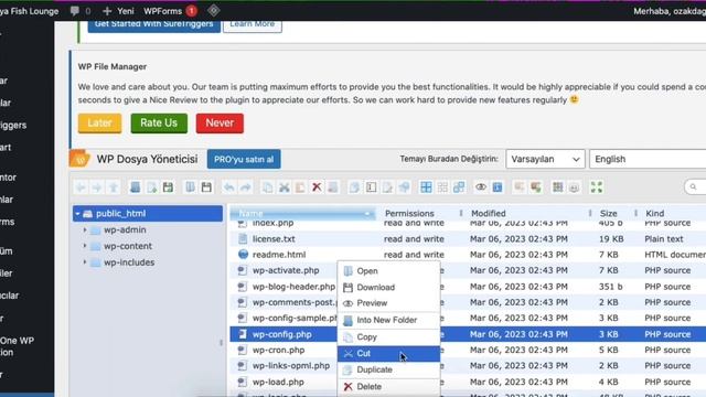Elementor'un paneli neden yüklenmiyor? смотреть онлайн