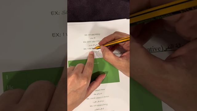 شرح(Simple Past of the Verb Be& Be Born) Mega Goal 3 смотреть онлайн