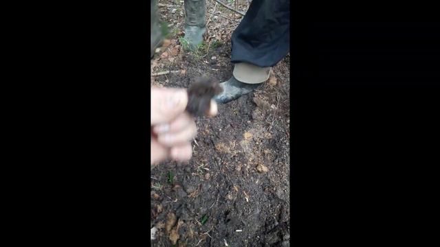 Коп Старины!Есть на что посмотреть! смотреть онлайн