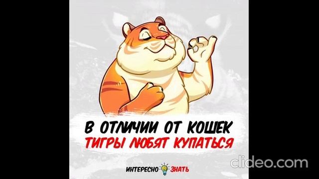 утро 20.07 смотреть онлайн