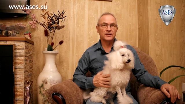 Если ребёнок боится собак. смотреть онлайн