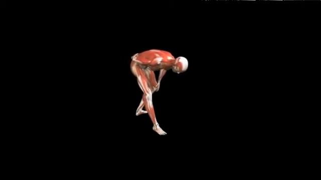 Растяжка подколенного сухожилия стоя с одной ноги Hamstring stretch Standing Single leg смотреть онлайн