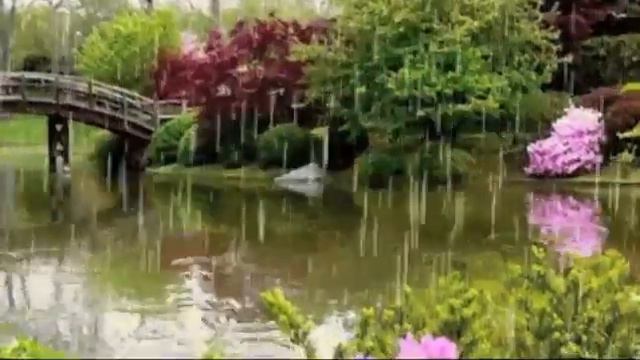 Rain Frank Duval🎼🎵🎹 Música Bonita