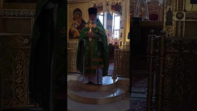 Проповедь прт. Александра Смирнова в день чествования Преподобного Антония Римлянина, Новгородского смотреть онлайн