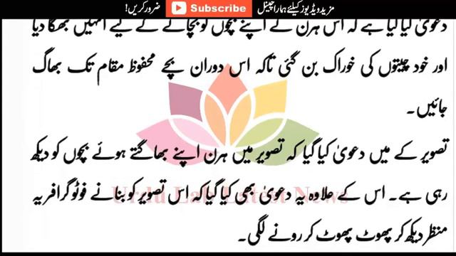 facebook viral photo tiger and hirn ● Muslim Ummah Latest News 12 смотреть онлайн