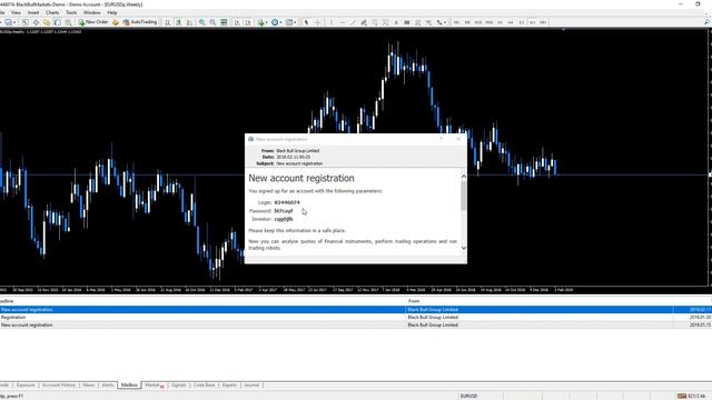 How to find your Investor Password in MT4 | BlackBull Markets смотреть онлайн