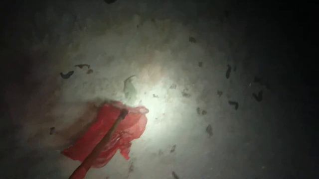 Pêche de nuit sur l'atoll de REAO смотреть онлайн