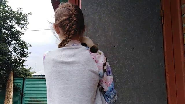 Привезли котенка домой смотреть онлайн