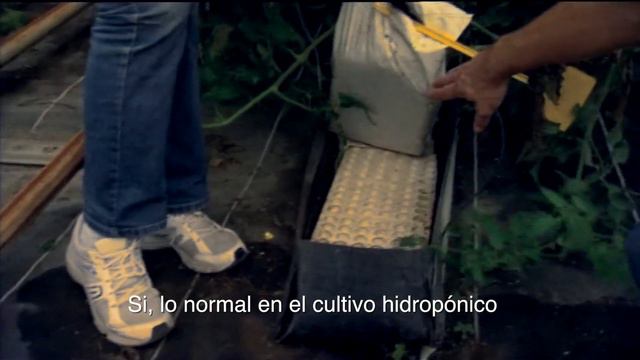 Documental de la BBC (sub. español) смотреть онлайн