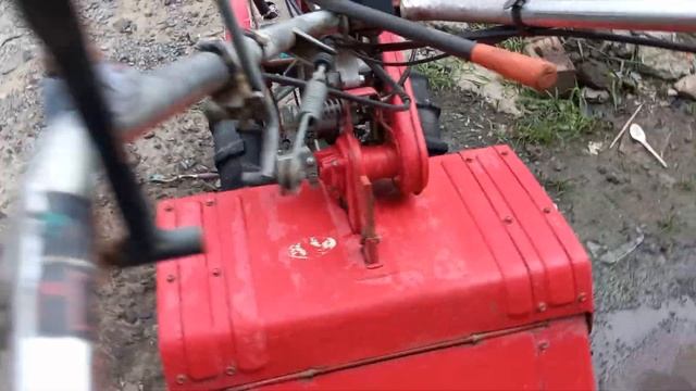 sới honda 5.5 hp đẹp , đày đủ chức năng смотреть онлайн