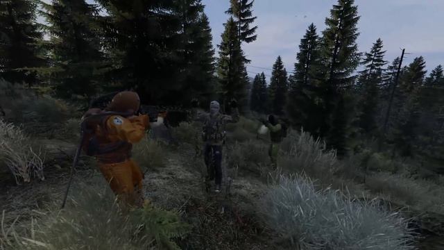 7 ТИПОВ игроков в STALKER DAYZ RP смотреть онлайн