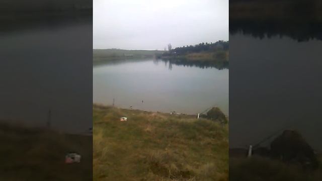 Чокур Эли - рыбы нет :) вообще....... смотреть онлайн