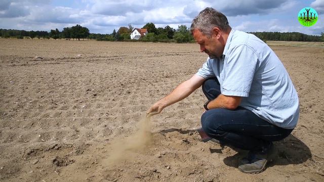 The Most Brilliant Heist In History | Wendell Berry смотреть онлайн