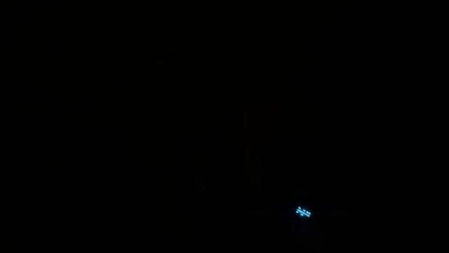 Рассказываем про отлов животных и делимся новостями приюта! смотреть онлайн