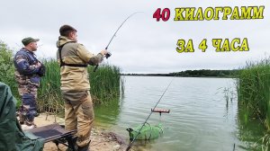 НЕОЖИДАЛ ТАКОГО ЖОРА!ОНИ ПРУТ КАК ТОРПЕДЫ!РЫБАЛКА на донку и флэт фидер апрель 2024