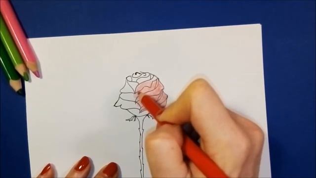 ? Как нарисовать РOЗУ. Урок рисования. Открытка на 8 марта для мамы ? How to draw a ROSE. смотреть онлайн