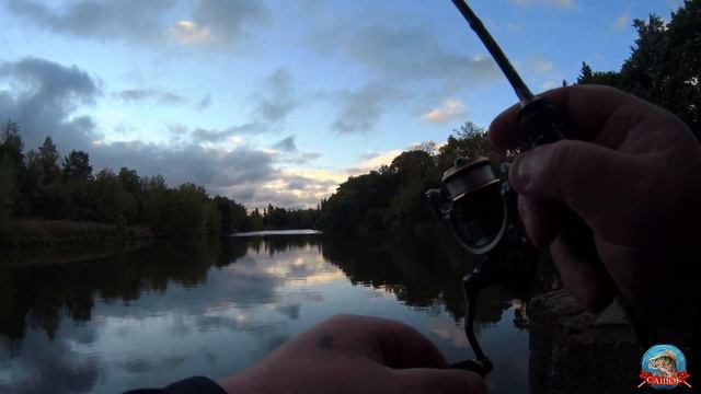 Мормышинг. Престиж тревел . Разнорыбица 4 смотреть онлайн