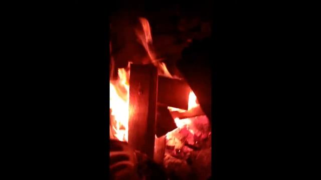 Жарим сосиски у костра на даче (24.11.17) смотреть онлайн