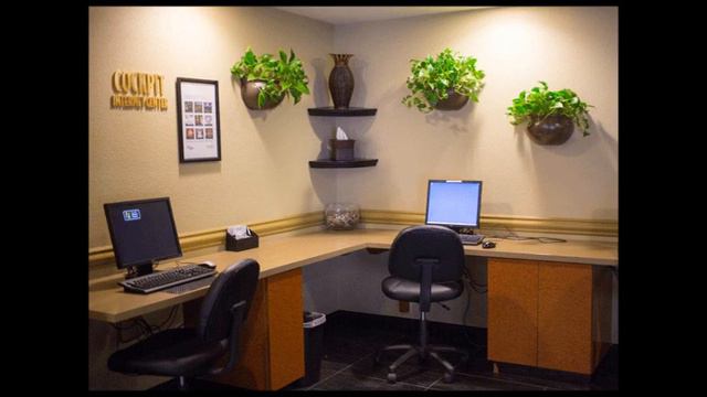 Introduction of Green Fingers, LLC смотреть онлайн