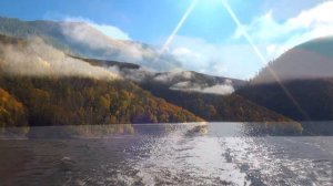 ЗЕЙСКИЙ ЗАПОВЕДНИК 2020 год