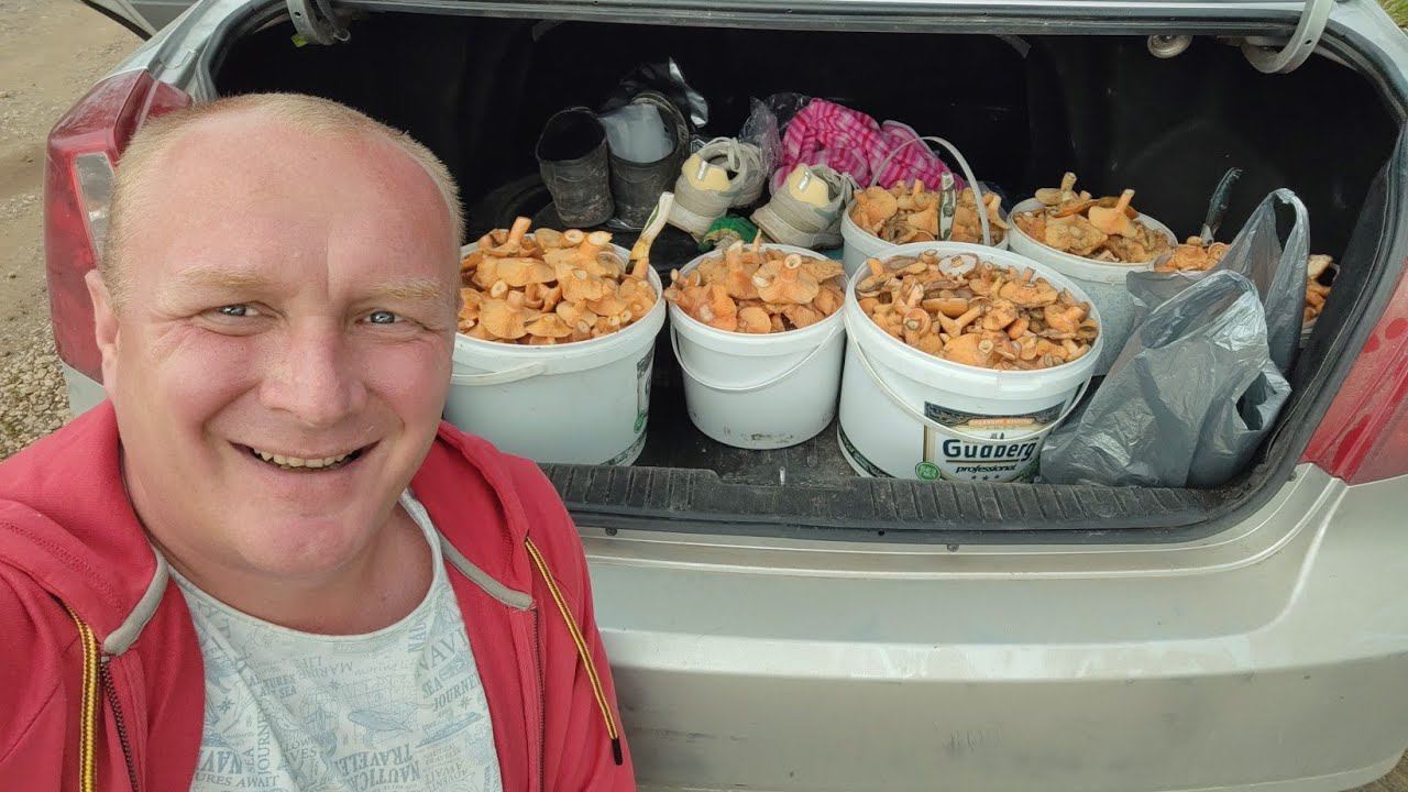 Жареные РЫЖИКИ НА ЗИМУ. смотреть онлайн