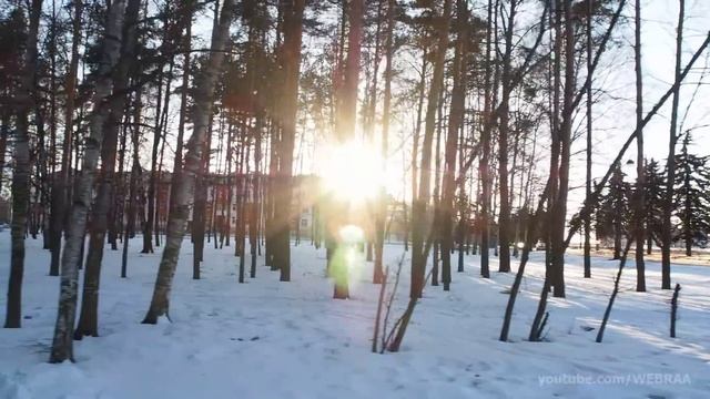 OLYMPUS OM-D E-M5 Video смотреть онлайн