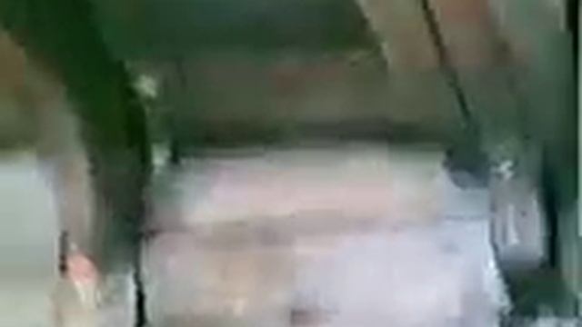 Обь нельма щекур.3gp смотреть онлайн