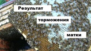 Результат торможения матки за 11 дней.