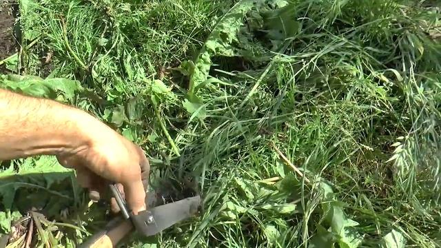 Художественная Гимнастика