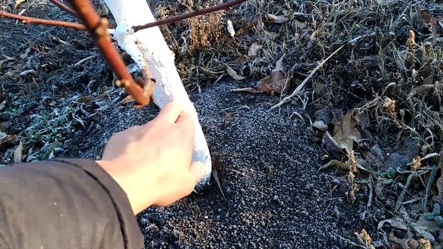 Мороз и солнце... смотреть онлайн