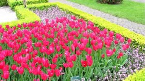 Голландия!!!!!!!!!!!!!!