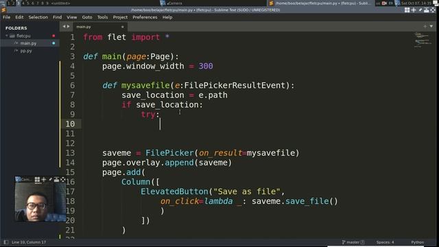 Flet Tutorial - Save As File To location смотреть онлайн