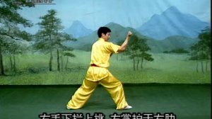 Ин Мен Цюань - таолу Ша Шоу (останавливающие руки)