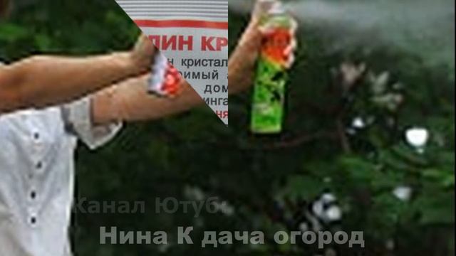 Мошкара: КАК БОРОТЬСЯ С МОШКОЙ И КОМАРАМИ? Как снять припухлость и кожный зуд при укусе смотреть онлайн