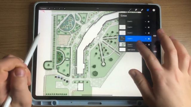 Генплан большого участка в Procreate. Разбор и фишки
