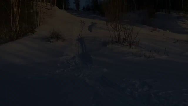 СРАВНЕНИЕ STELS Капитан 200 и IRBIS SF200L 2022, тест-драйв и обзор смотреть онлайн