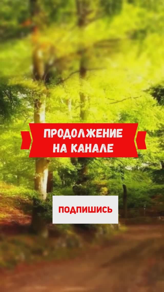 Я всё знала и ругала Леру, но она и слушать не хотела... #shorts смотреть онлайн