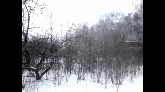 Дачный участок смотреть онлайн