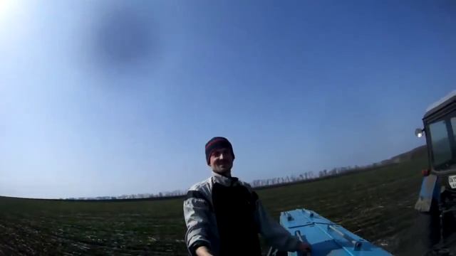 Подкормка озимой пшеницы и ячменя аммиачной селитрой.Сеялка СЗ-3,6, трактор #МТЗ_82 смотреть онлайн