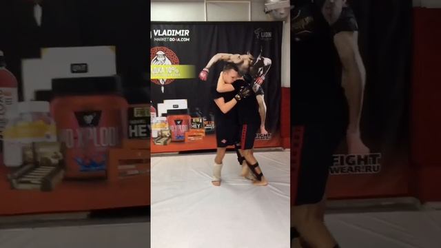 #единоборств #мма #mma #боибезправил #грепплинг #панкратион смотреть онлайн