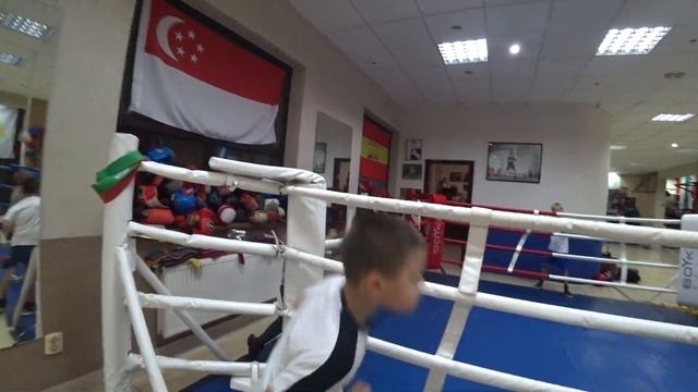 Юные Боксеры смотреть онлайн