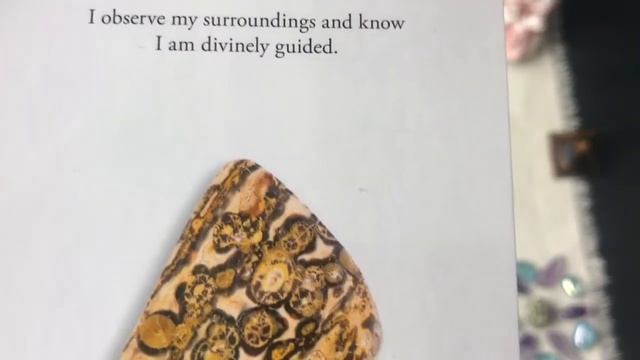 Starseeds Setting Intentions Oracal Reading смотреть онлайн