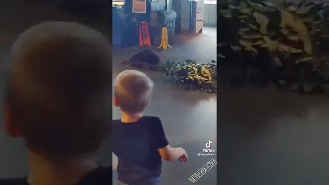 все в дом ребятам на фронт я там уже был и знаю каково это 2202 2003 4591 2586 сбер смотреть онлайн