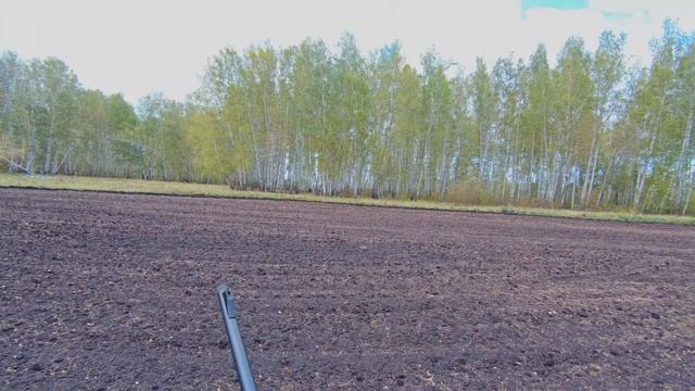 Шикарный выход косуль на номер! Как я мог промазать? смотреть онлайн