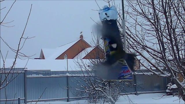 Кормушка для синиц смотреть онлайн