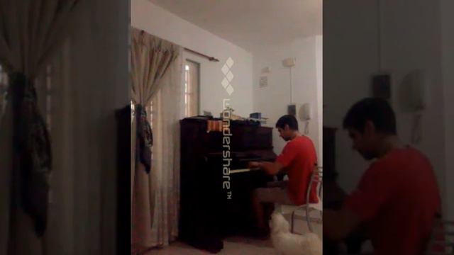 Piano acustico FL Neuman - Muestra смотреть онлайн
