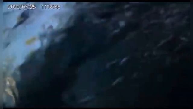 canoe slalom fails 2020| Saint pierre de boeuf, Valstagna, Verona. смотреть онлайн