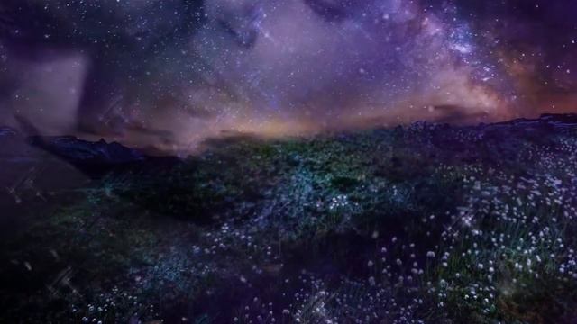 Не предавай ЛЮБОВЬ (поёт Галина Николайчук, видео создано Тамарой Школиной) смотреть онлайн