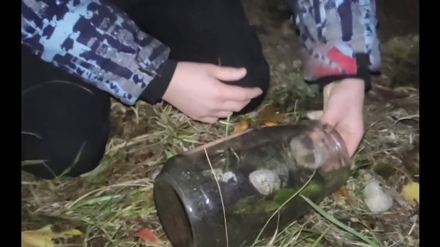 Мини Модель Леса, От 7Б Класса, Г. Мариинский Посад, Школа Им. К. Д. Ушинского. смотреть онлайн
