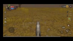 проверяем бак на питомца в Вайлд крафте.